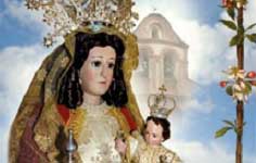 Actividades de la cofradía de la Virgen de la Antigua